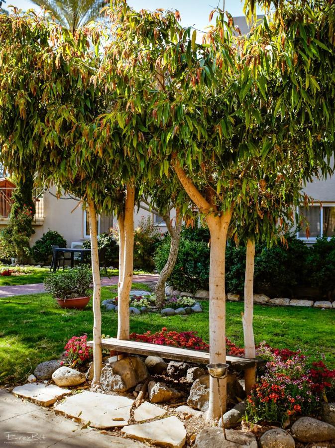 Shaar Hagolan Kibbutz Country Lodging Bagian luar foto