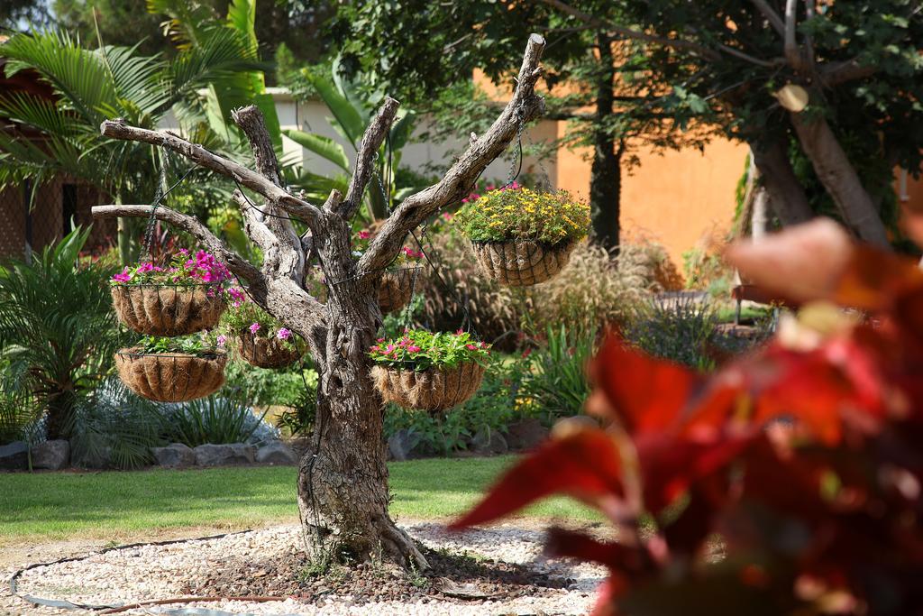 Shaar Hagolan Kibbutz Country Lodging Bagian luar foto