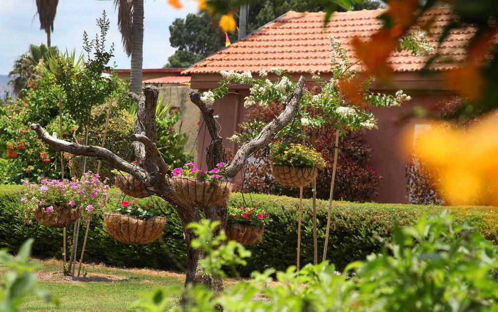Shaar Hagolan Kibbutz Country Lodging Bagian luar foto