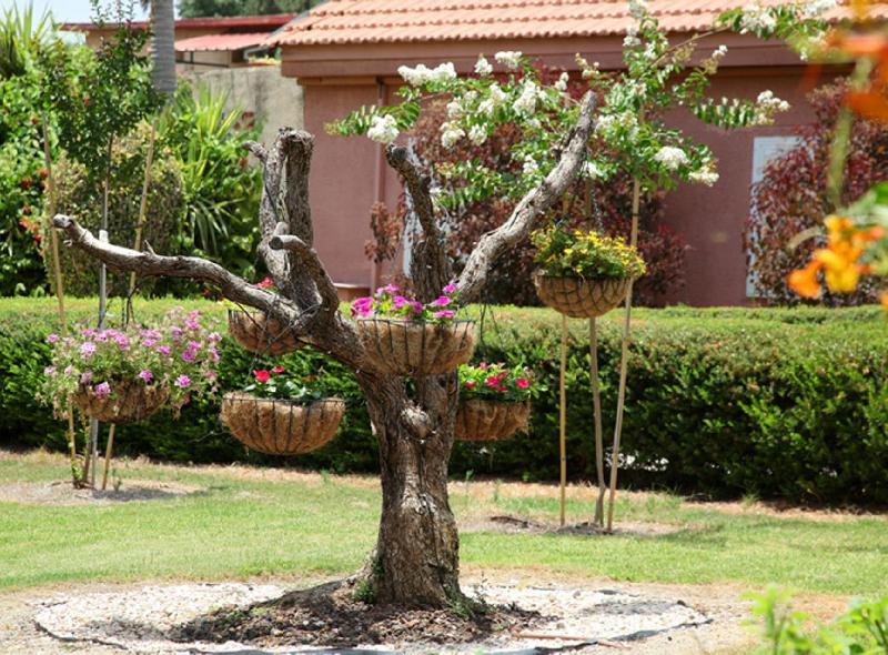 Shaar Hagolan Kibbutz Country Lodging Bagian luar foto